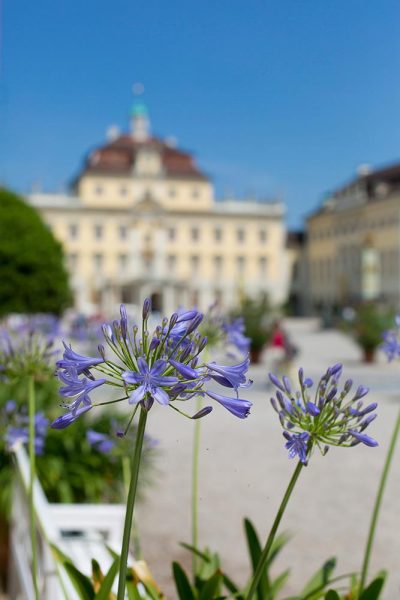 Residenzschloss Ludwigsburg - Außenbereich