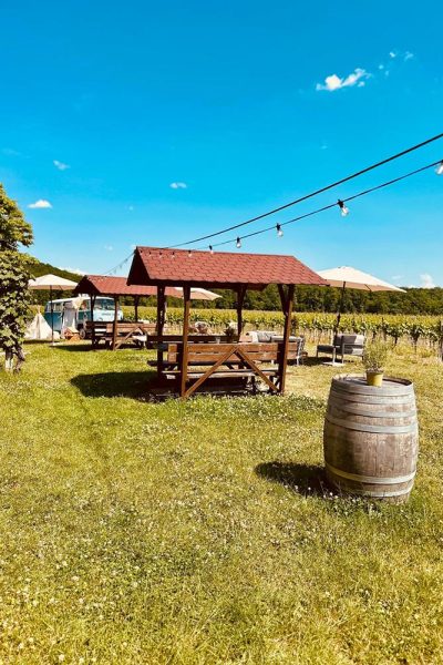 Weingut Amalienhof - Außenbereich