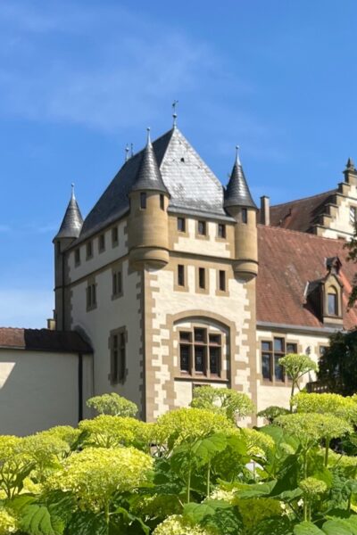 Burg mit satten Hortensien
