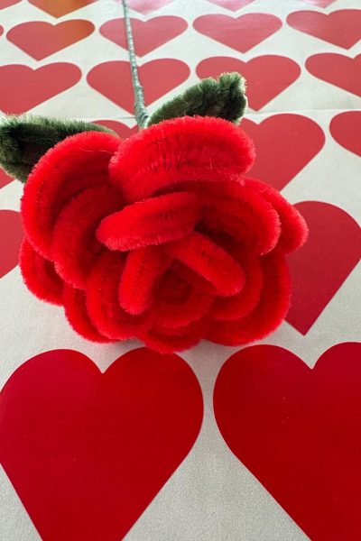 Jaceur Kreativstudio - Pfeifenputzerblume