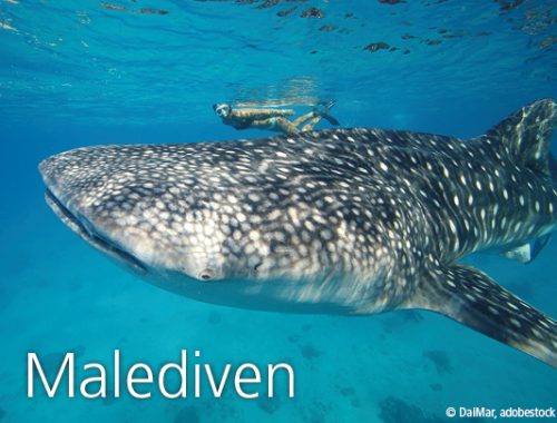 JA_Messebild_#3_Malediven
